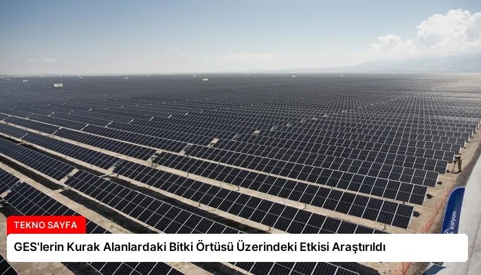 GES’lerin Kurak Alanlardaki Bitki Örtüsü Üzerindeki Etkisi Araştırıldı