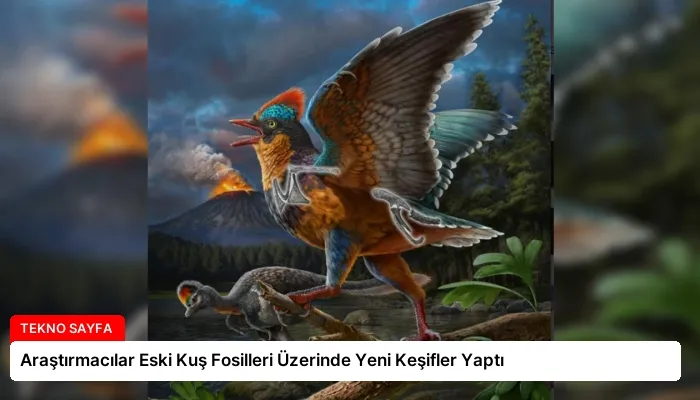 Araştırmacılar Eski Kuş Fosilleri Üzerinde Yeni Keşifler Yaptı