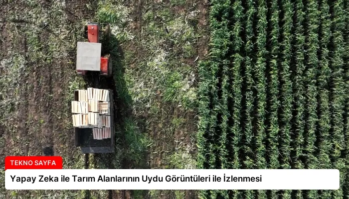 Yapay Zeka ile Tarım Alanlarının Uydu Görüntüleri ile İzlenmesi