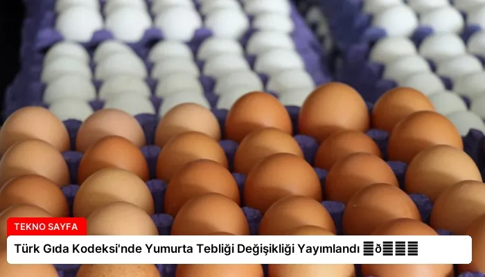 Türk Gıda Kodeksi’nde Yumurta Tebliği Değişikliği Yayımlandı ⏬👇