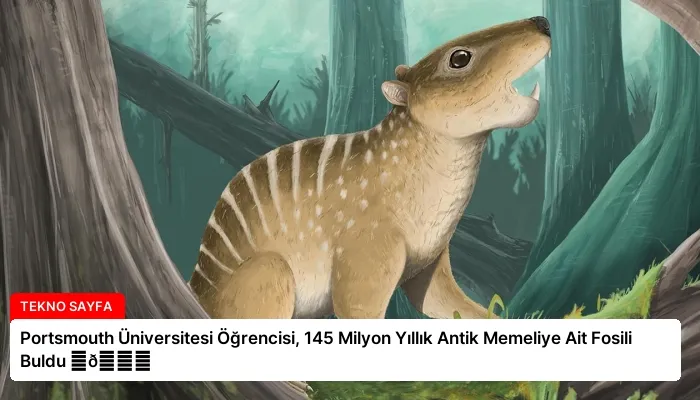 Portsmouth Üniversitesi Öğrencisi, 145 Milyon Yıllık Antik Memeliye Ait Fosili Buldu ⏬👇