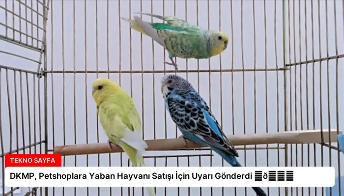 DKMP, Petshoplara Yaban Hayvanı Satışı İçin Uyarı Gönderdi ⏬👇