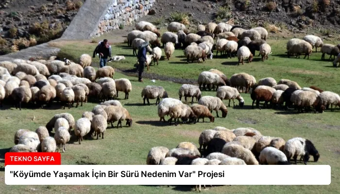 “Köyümde Yaşamak İçin Bir Sürü Nedenim Var” Projesi