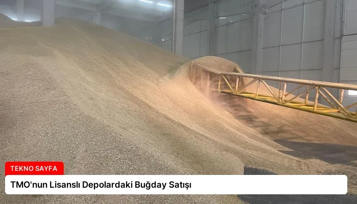 TMO’nun Lisanslı Depolardaki Buğday Satışı