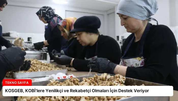 KOSGEB, KOBİ’lere Yenilikçi ve Rekabetçi Olmaları İçin Destek Veriyor