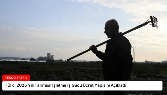TÜİK, 2025 Yılı Tarımsal İşletme İş Gücü Ücret Yapısını Açıkladı