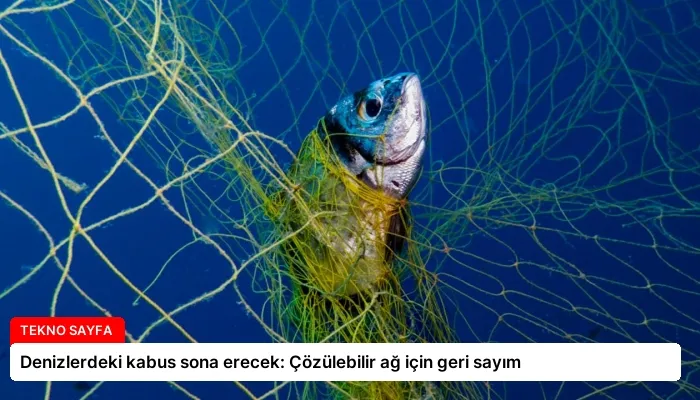 Denizlerdeki kabus sona erecek: Çözülebilir ağ için geri sayım