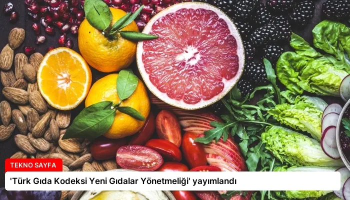 ‘Türk Gıda Kodeksi Yeni Gıdalar Yönetmeliği’ yayımlandı