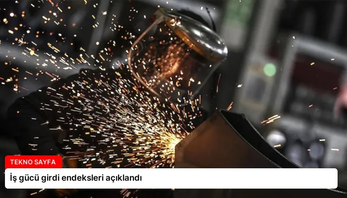İş gücü girdi endeksleri açıklandı