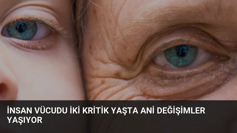 İnsan Vücudu İki Kritik Yaşta Ani Değişimler Yaşıyor