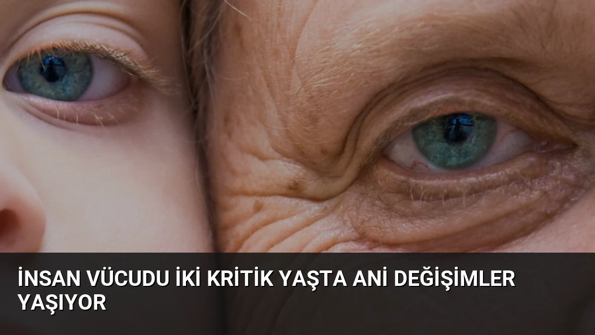 İnsan Vücudu İki Kritik Yaşta Ani Değişimler Yaşıyor