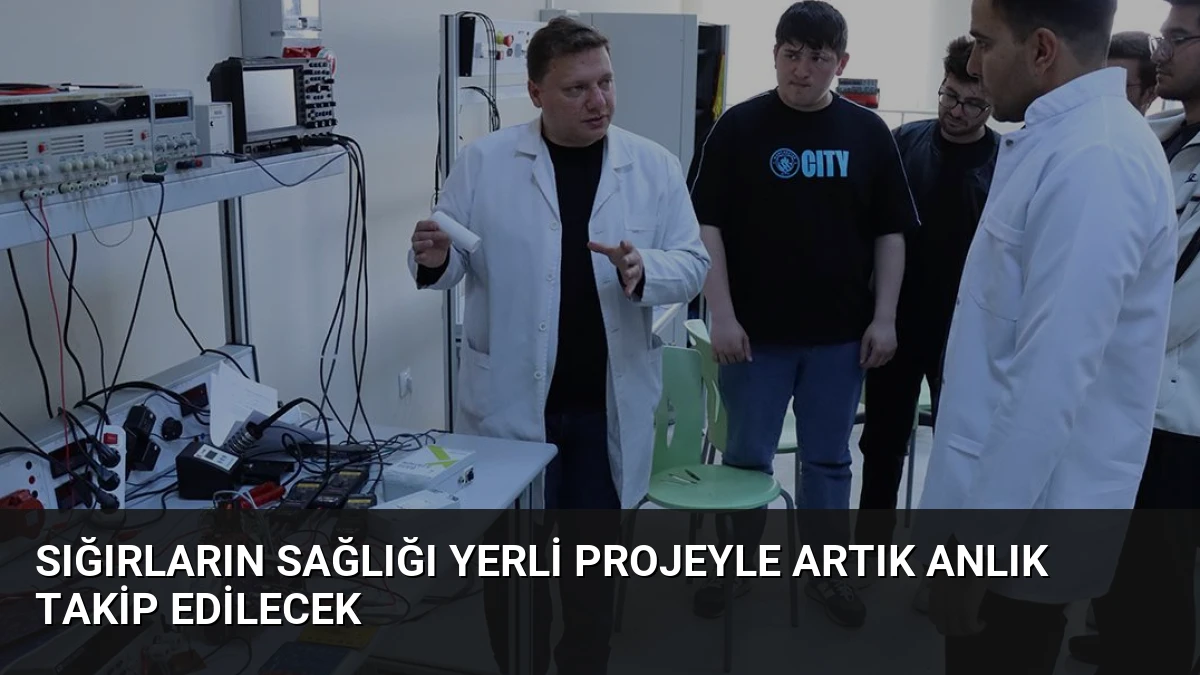 Sığırların sağlığı yerli projeyle artık anlık takip edilecek