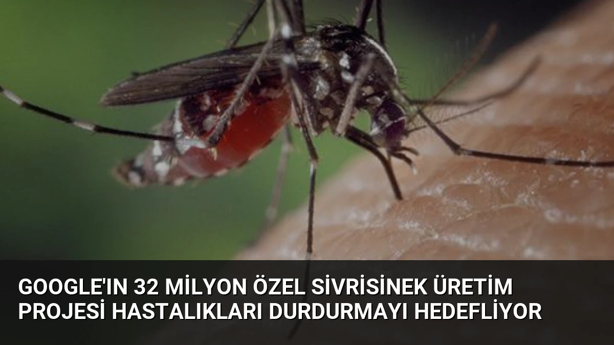 Google’ın 32 Milyon Özel Sivrisinek Üretim Projesi Hastalıkları Durdurmayı Hedefliyor