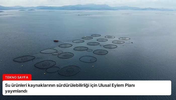 Su ürünleri kaynaklarının sürdürülebilirliği için Ulusal Eylem Planı yayımlandı