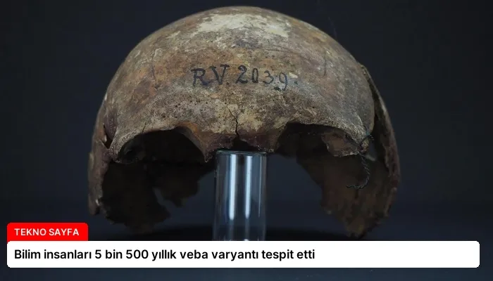 Bilim insanları 5 bin 500 yıllık veba varyantı tespit etti