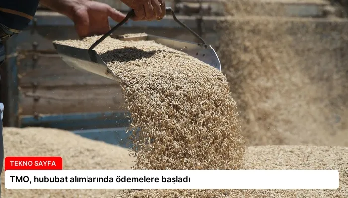 TMO, hububat alımlarında ödemelere başladı