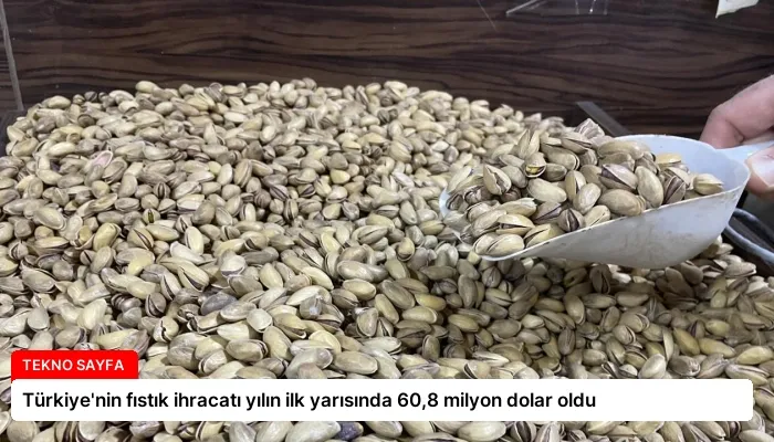Türkiye’nin fıstık ihracatı yılın ilk yarısında 60,8 milyon dolar oldu