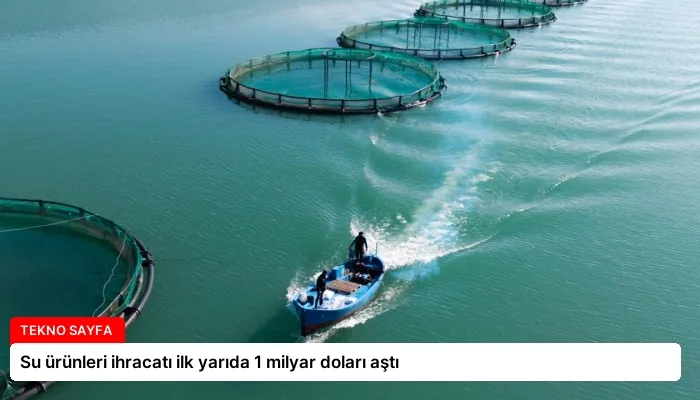 Su ürünleri ihracatı ilk yarıda 1 milyar doları aştı