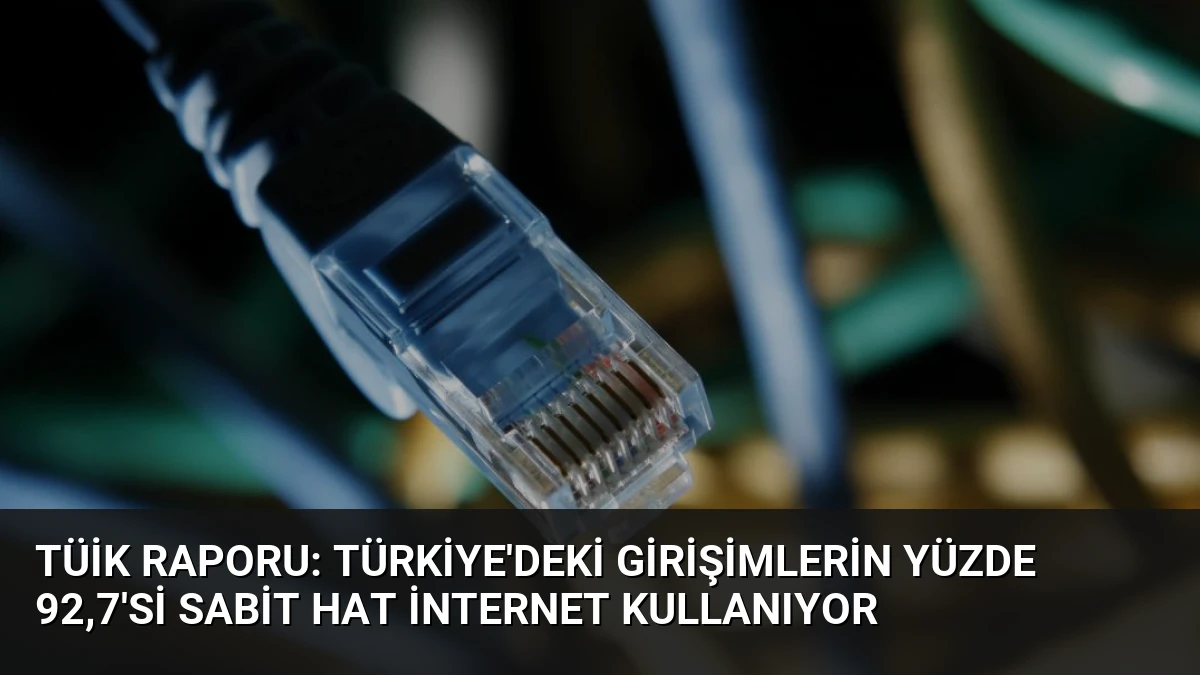 TÜİK Raporu: Türkiye’deki Girişimlerin Yüzde 92,7’si Sabit Hat İnternet Kullanıyor